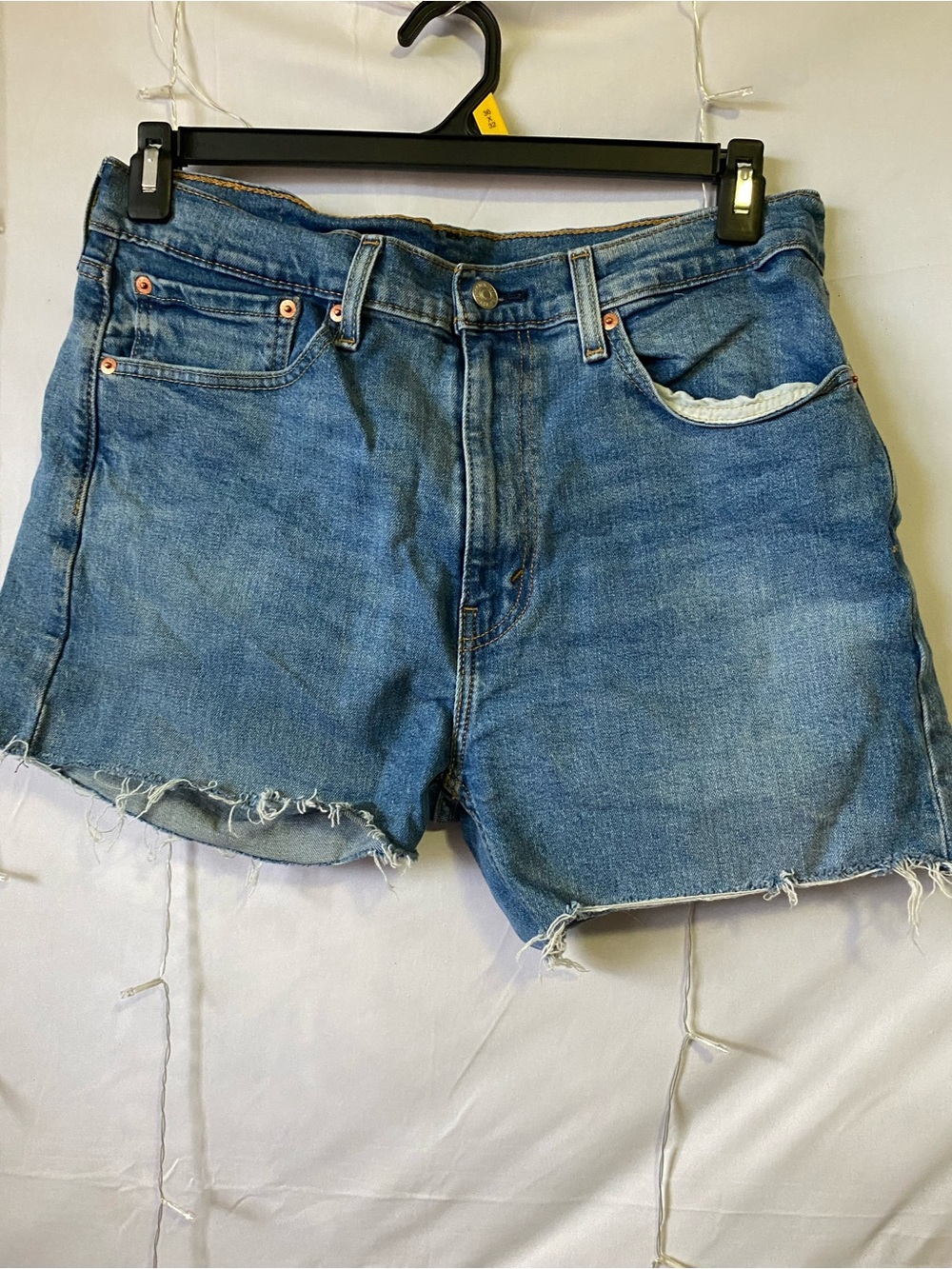 Levi's Blue Cutoff Denim Shorts - Raw Hem